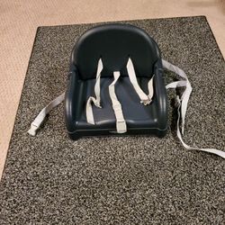 Graco Booster Seat