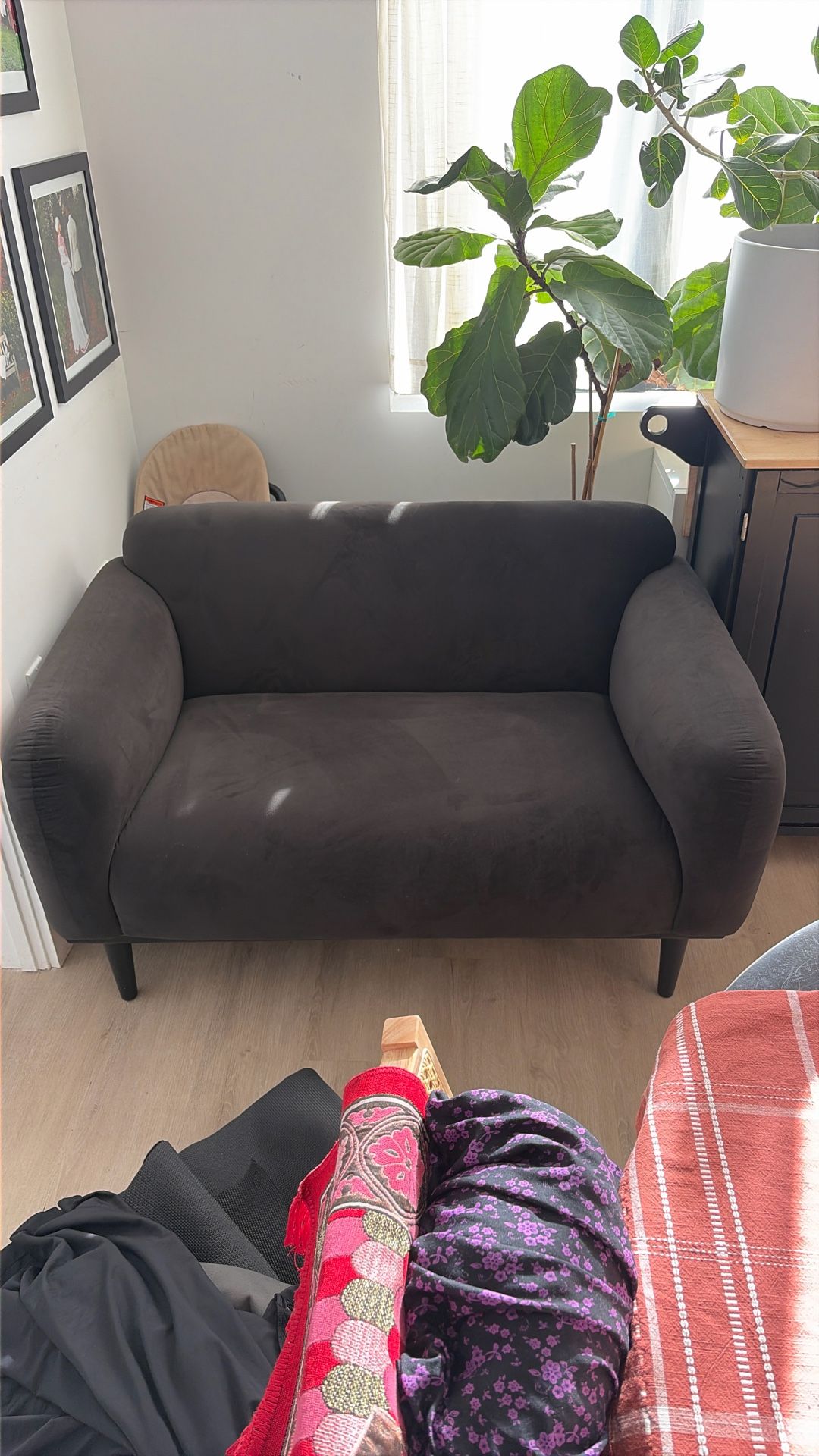 All Modern / Suede Couch