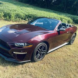 MUSTANG FOR SALE SERIOUS INQUIRIES ONLY