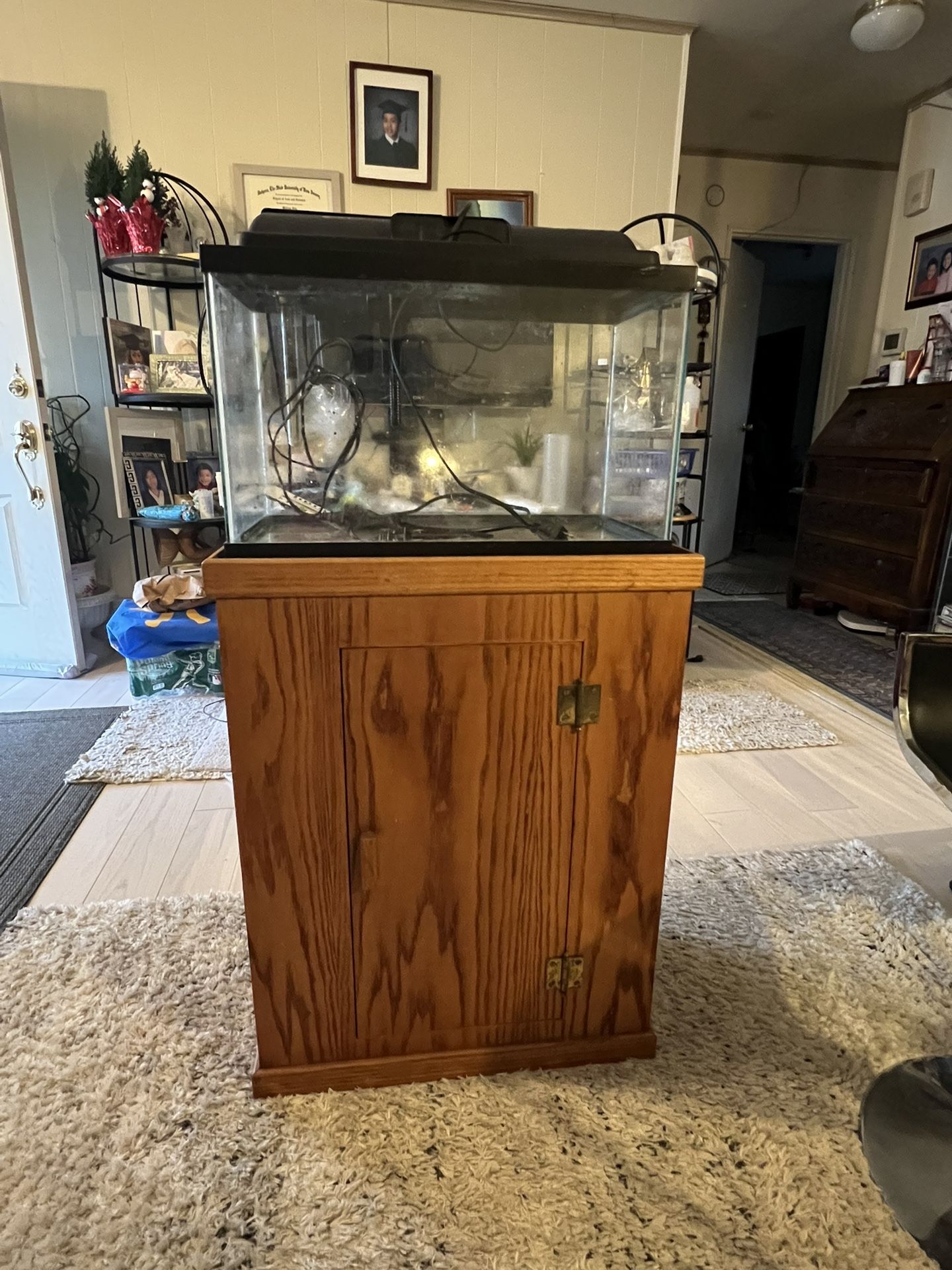 Fish Tank And All Things Including For It .