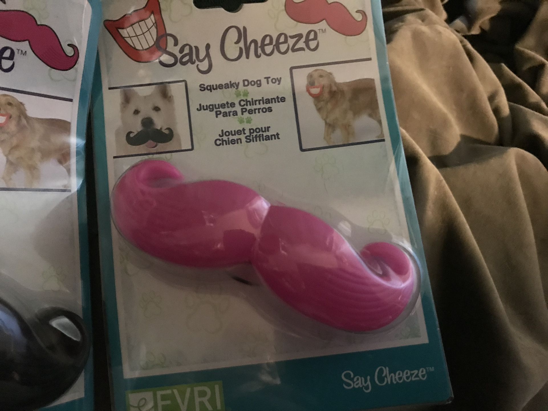 Say Cheese Mustache Squeaky Toy For Dogs