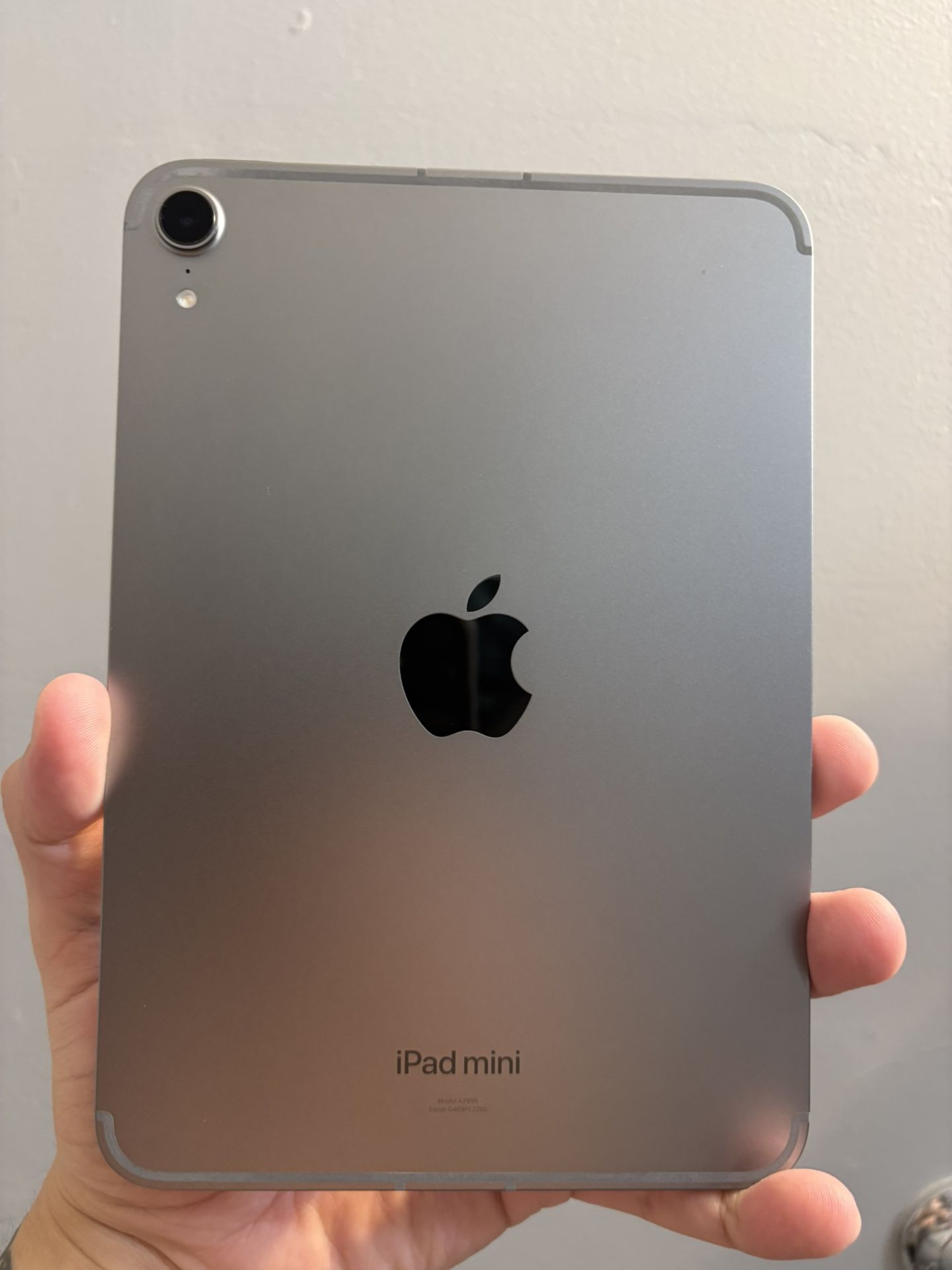 Apple iPad Mini 