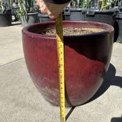 Red  Base/Pot 18”width X 16.5 Height