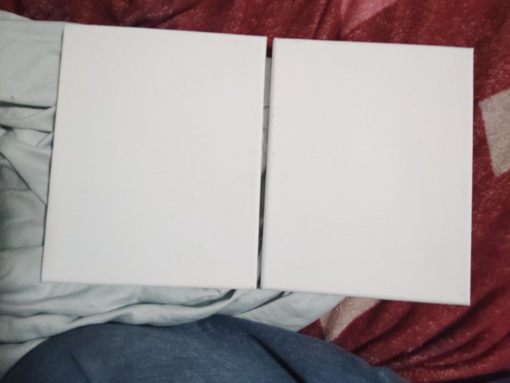 Two blank, white, 8x10 canvases.