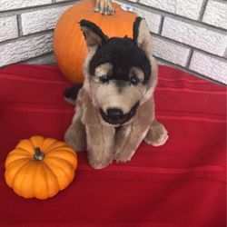 German Shepherd Puppy 