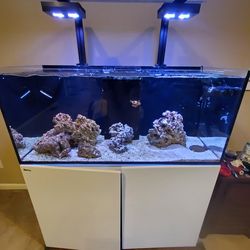 Red Sea Red Reefer 350 Salt Water Aquarium