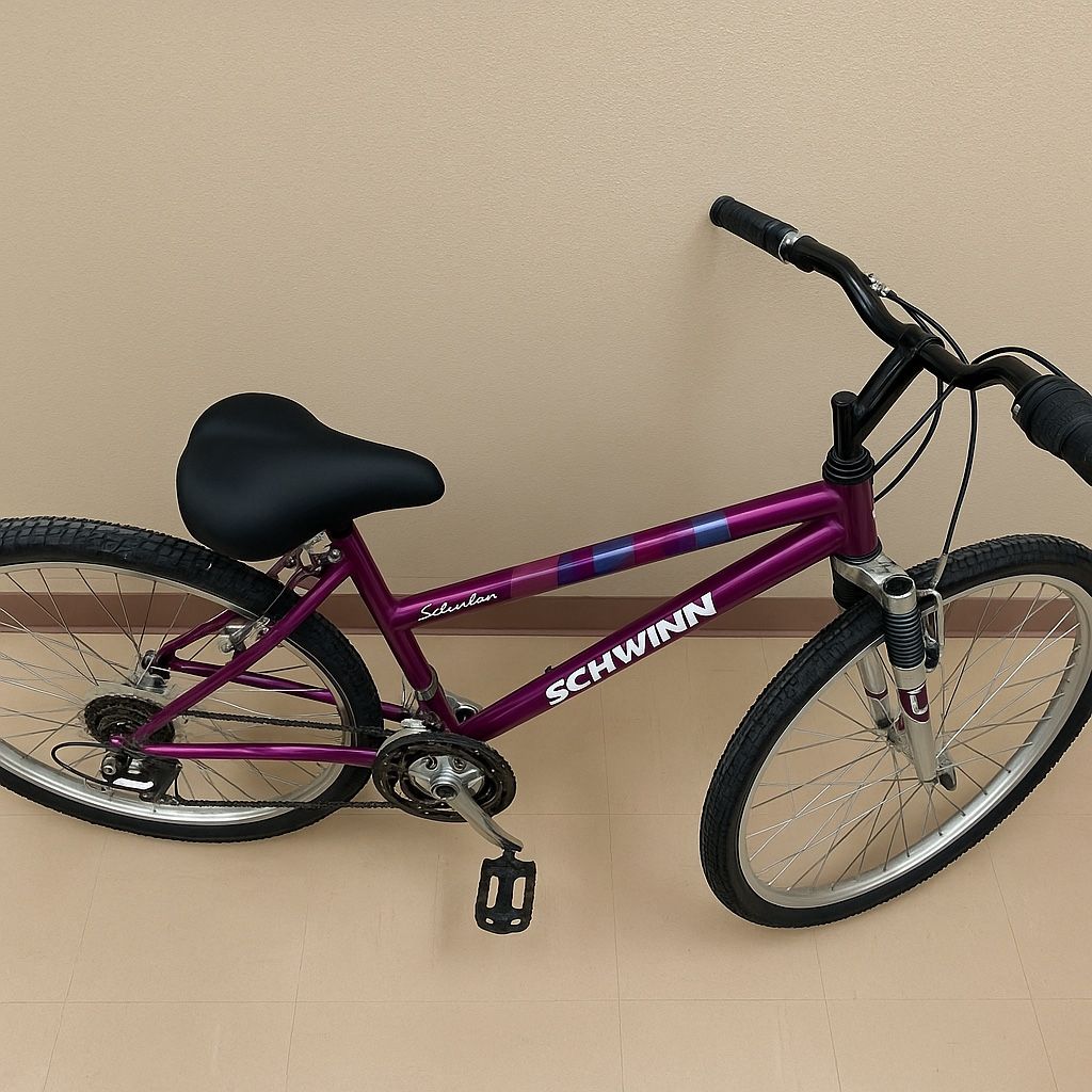 Schwinn Sidewinder Bike