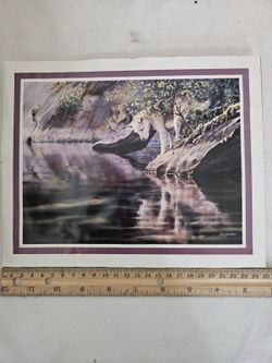 Wolf Painting by Sam Jackson