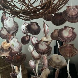 Seashell Natural Wicker Ball Wind Chime 
