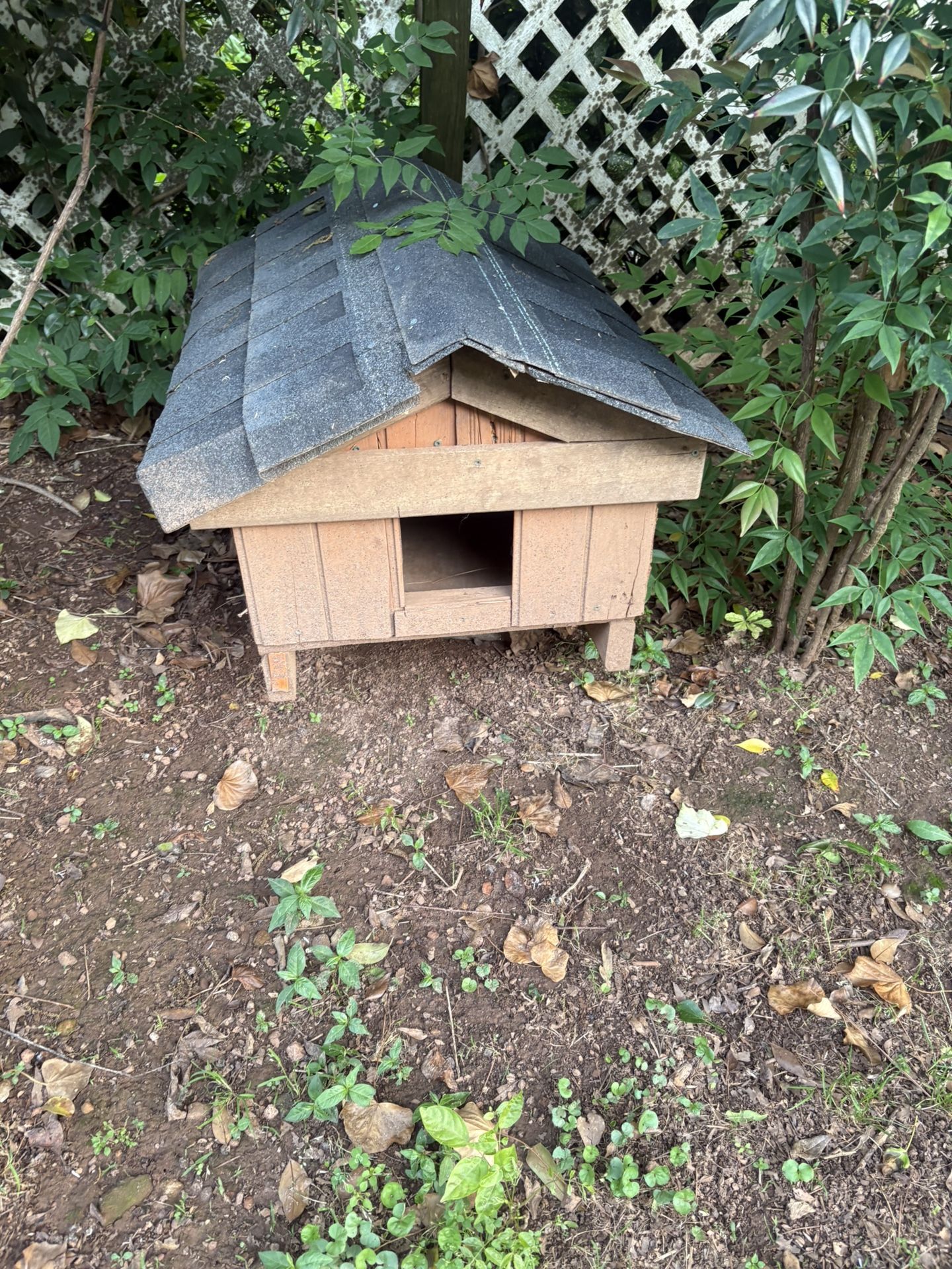 Little Dog House