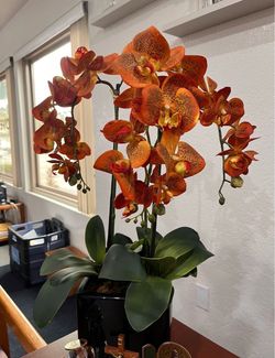Faux Phalaenopsis Orchid Arrangement
