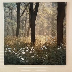 Beautiful Forrest Art