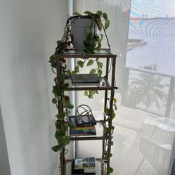 Gold Metal Bookcase 