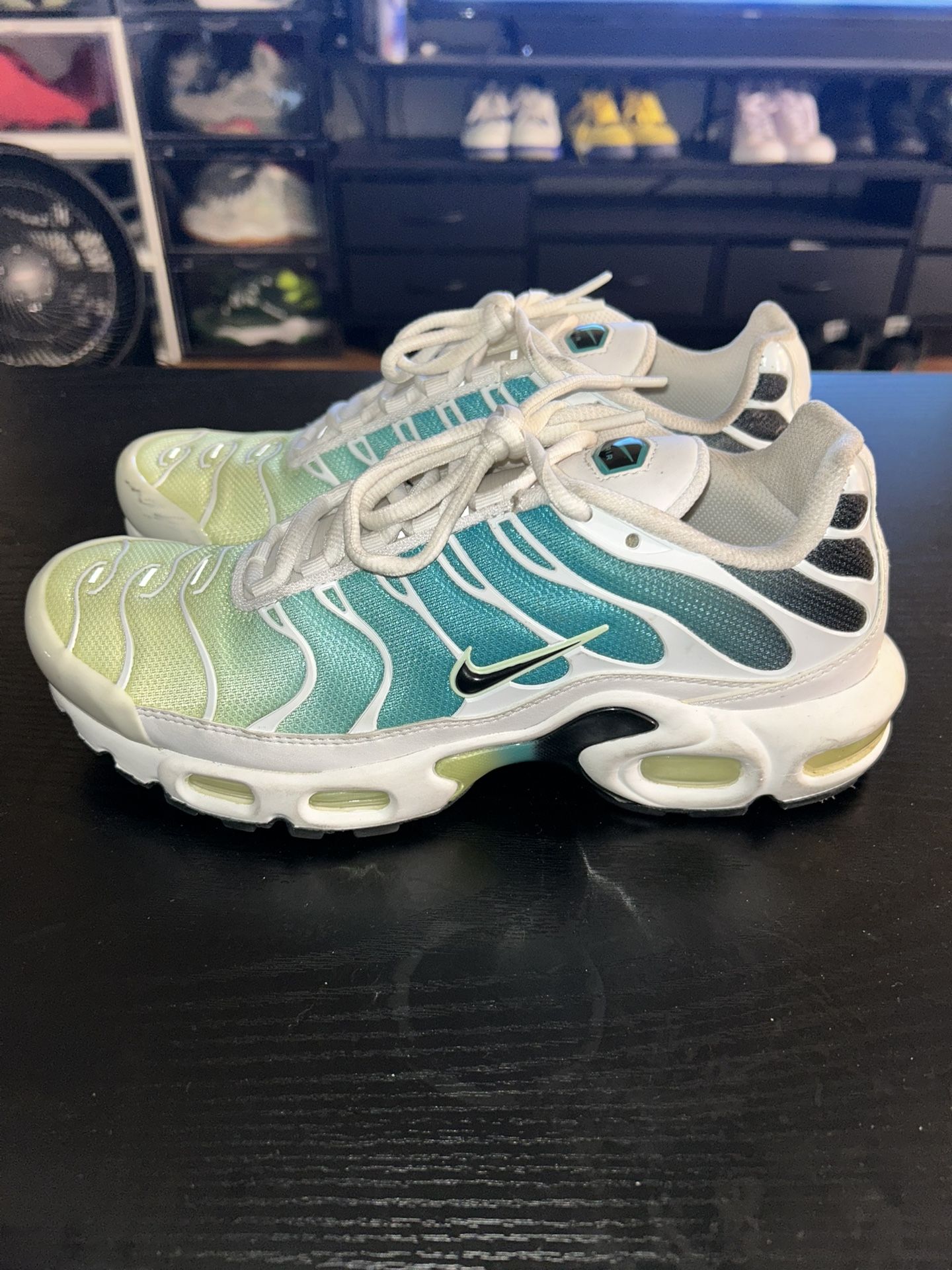 Nike Air Max Plus “Dusty Cactus”