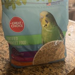 Bird Food