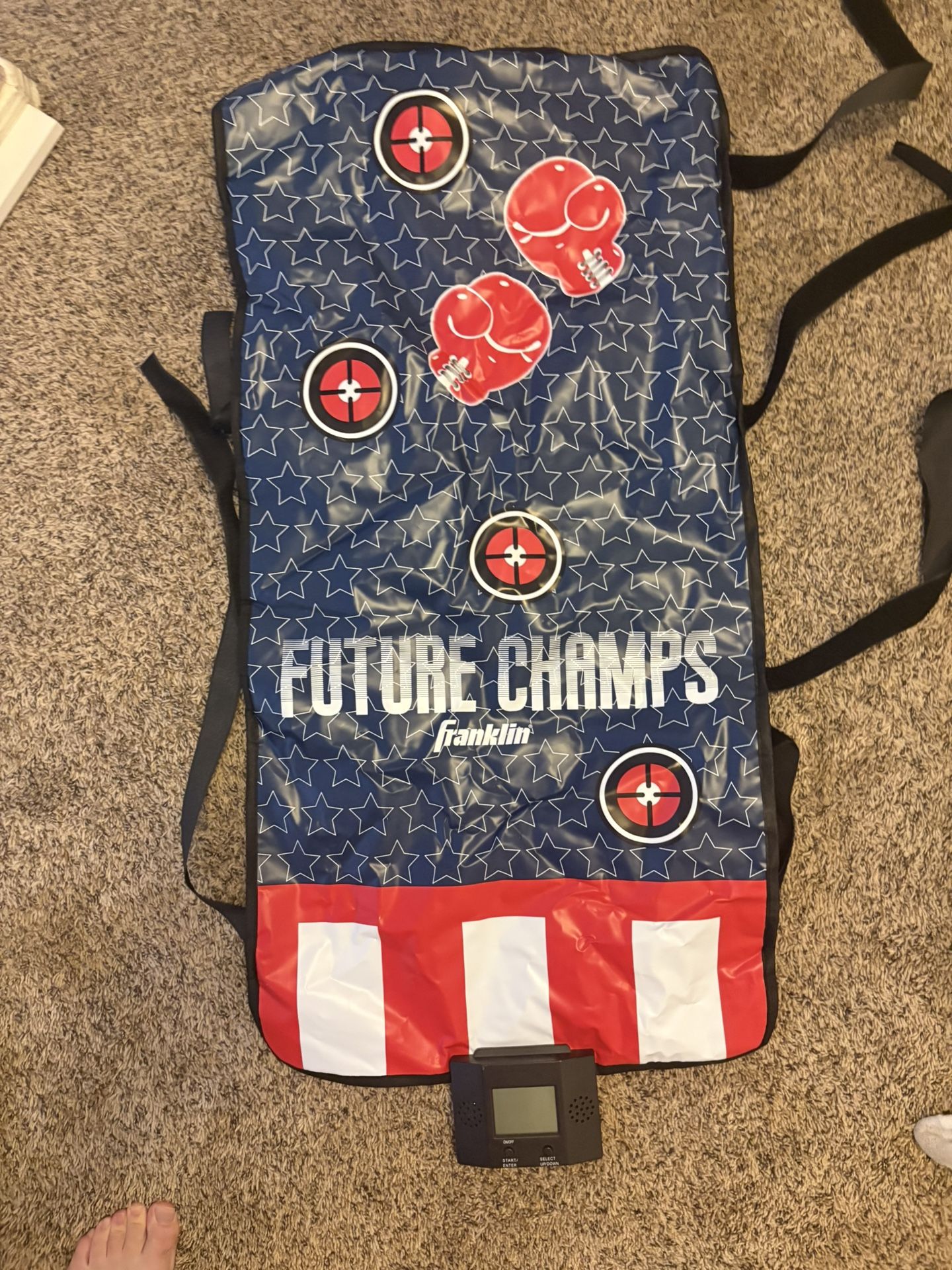 Boxing Target Game Franklin Sports Future Champs Kids Punching Bag Wrap Toy