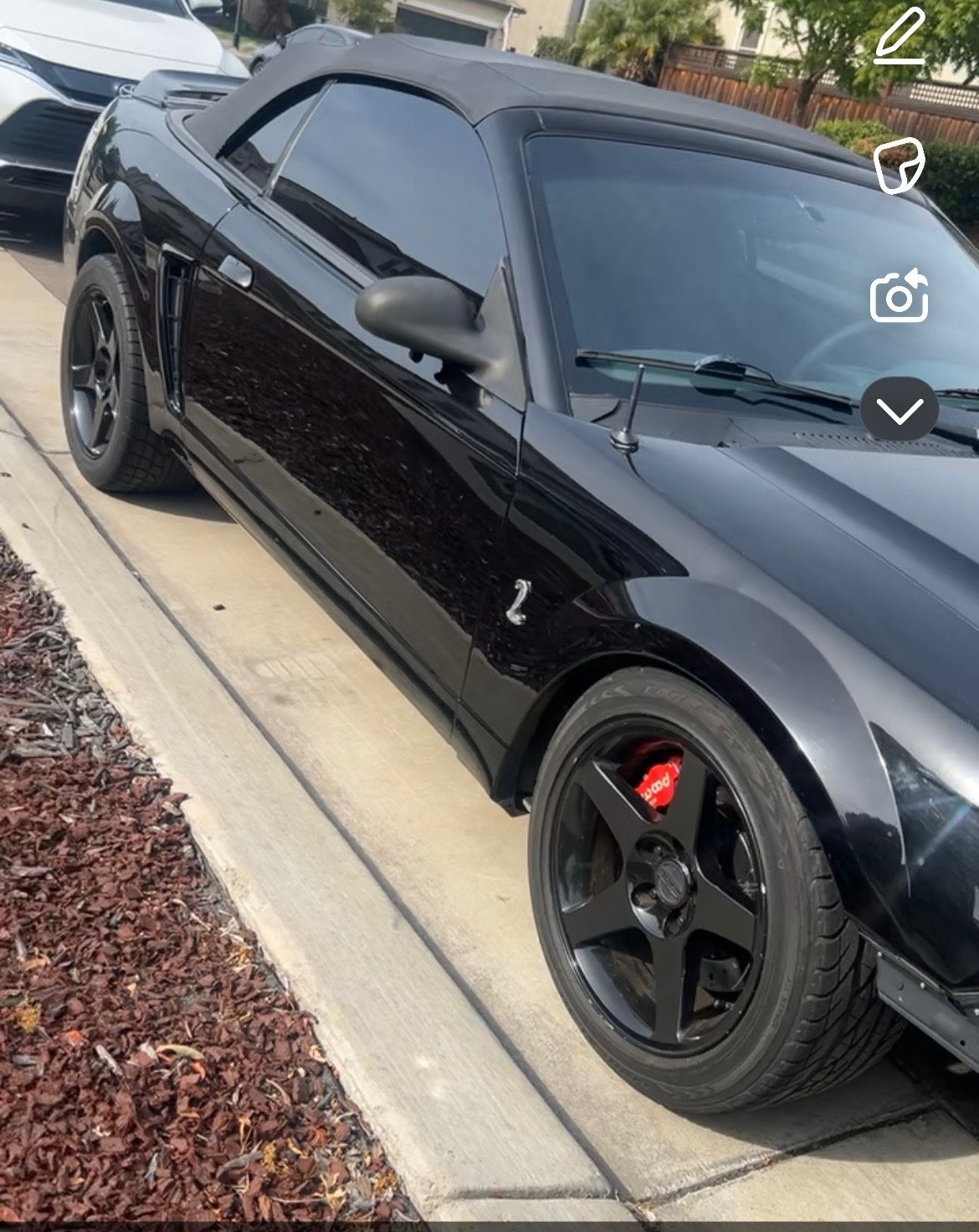 1999 Mustang Cobra
