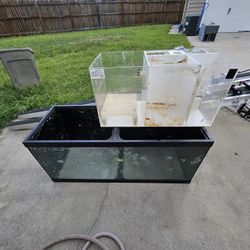 Saltwater Setup
