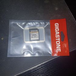 Gigastone 4K Camera Pro 256GB SD