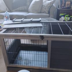House For A Gueina Pig 