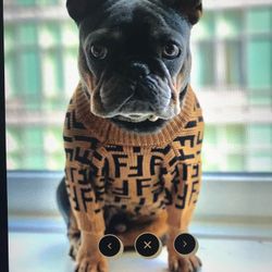 Pendi Classic Knot Shirt By DOGGO LA