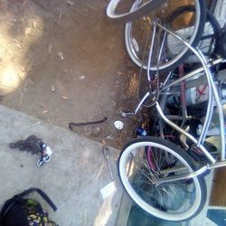 Beach Cruiser 