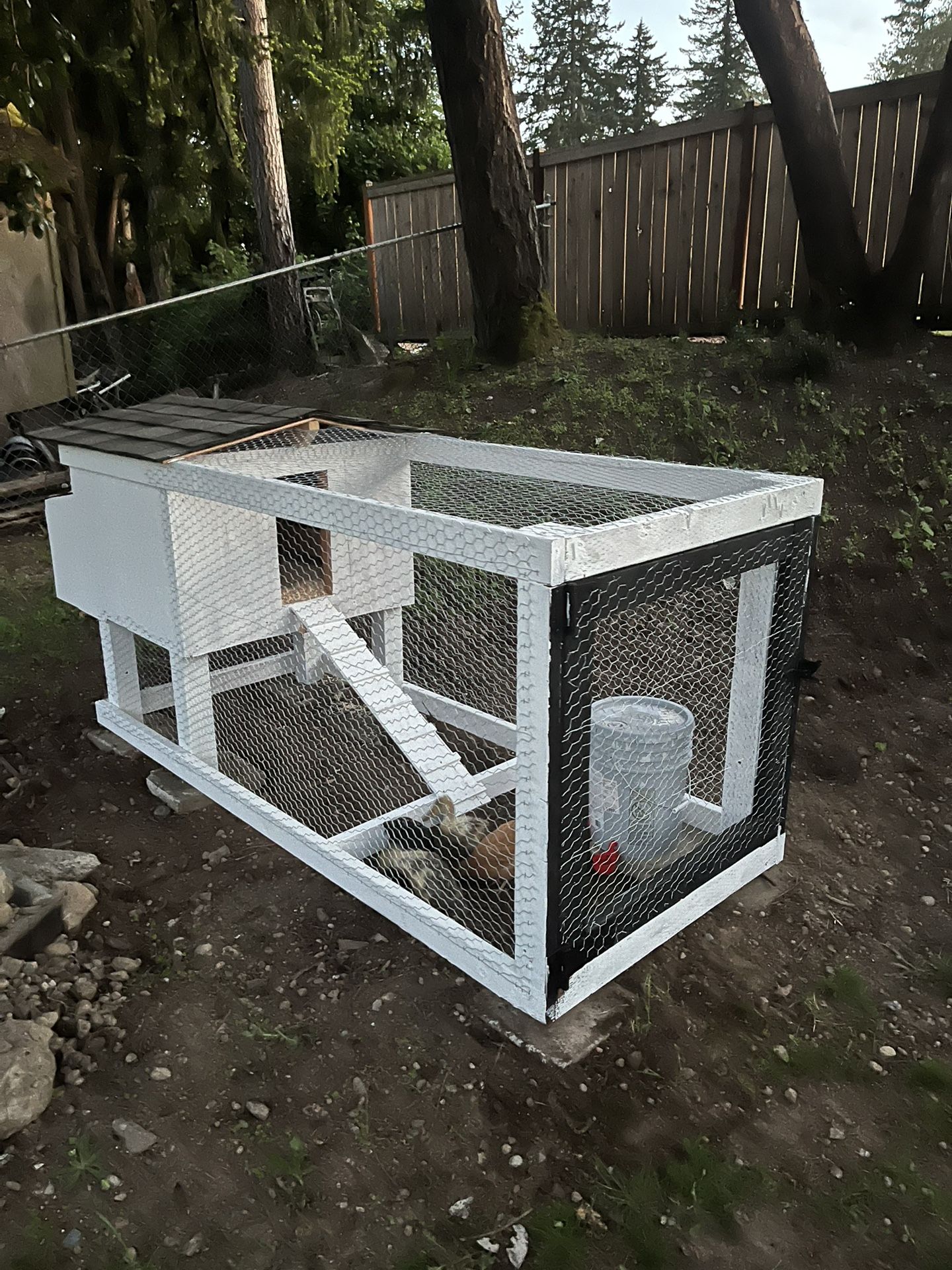 Chicken Coop