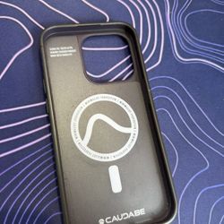 Caudabe case for 14 Pro (Sheath)