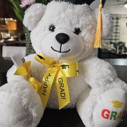 Graduation Teddy Bear