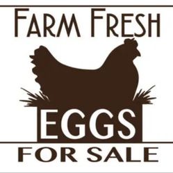 Fresh Eggs 