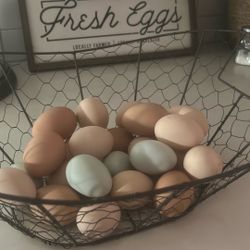 Fresh Eggs From Young Free Range Hens!