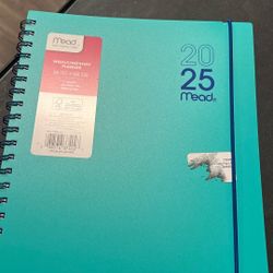 New 2025 Weekly/Monthly Planner