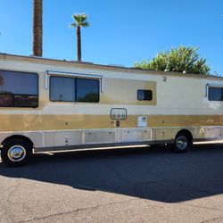 1991 Safari Monica Ivory edition