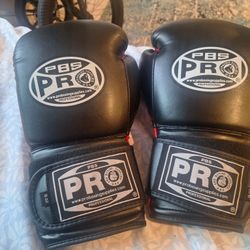 Pro Boxing Gloves