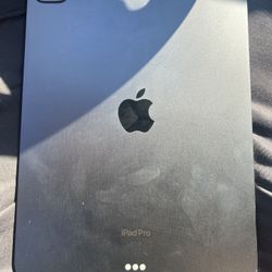 IPAD PRO 11inch M4 256GB