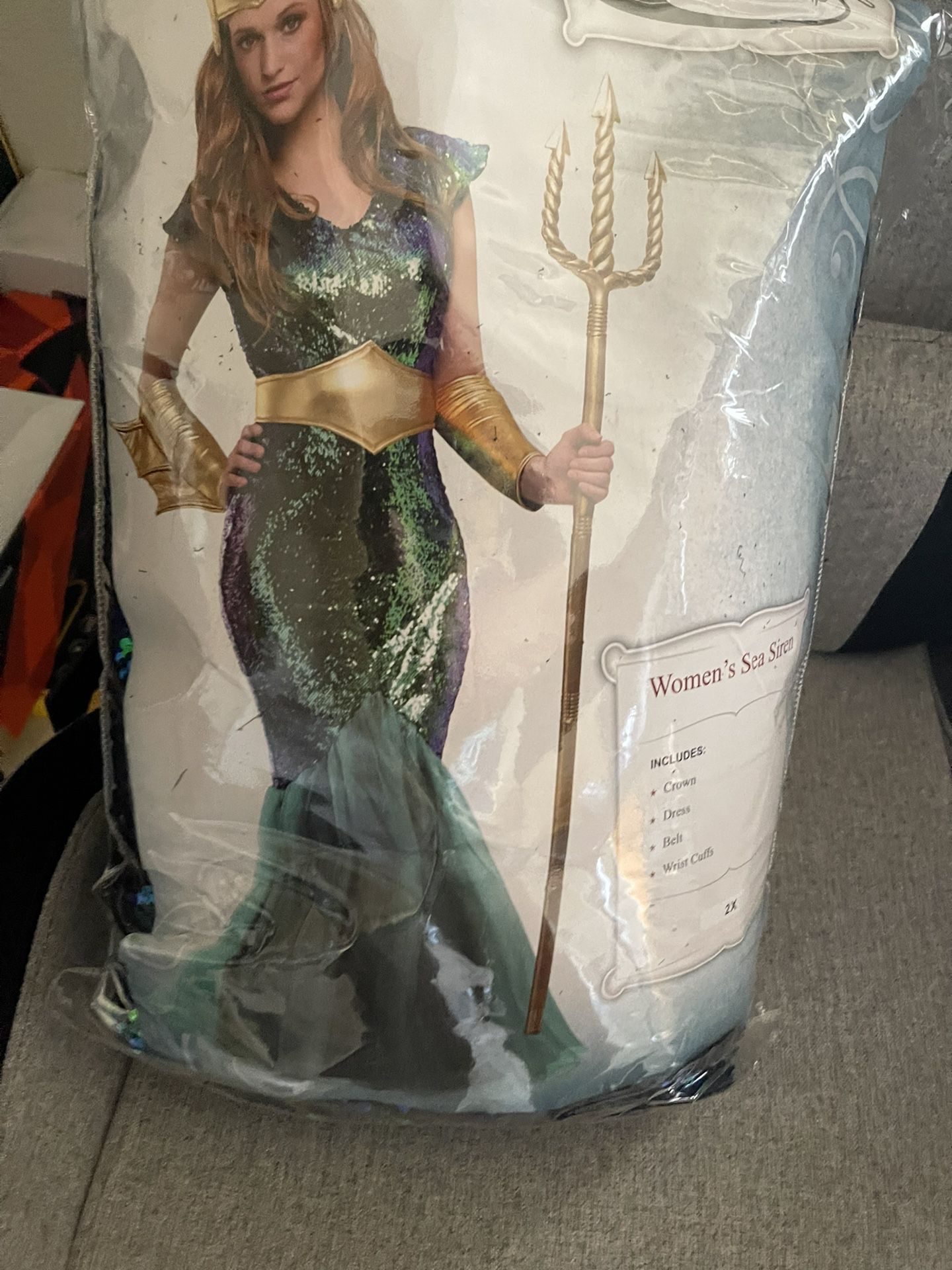 Woman’s Mermaid Costume 