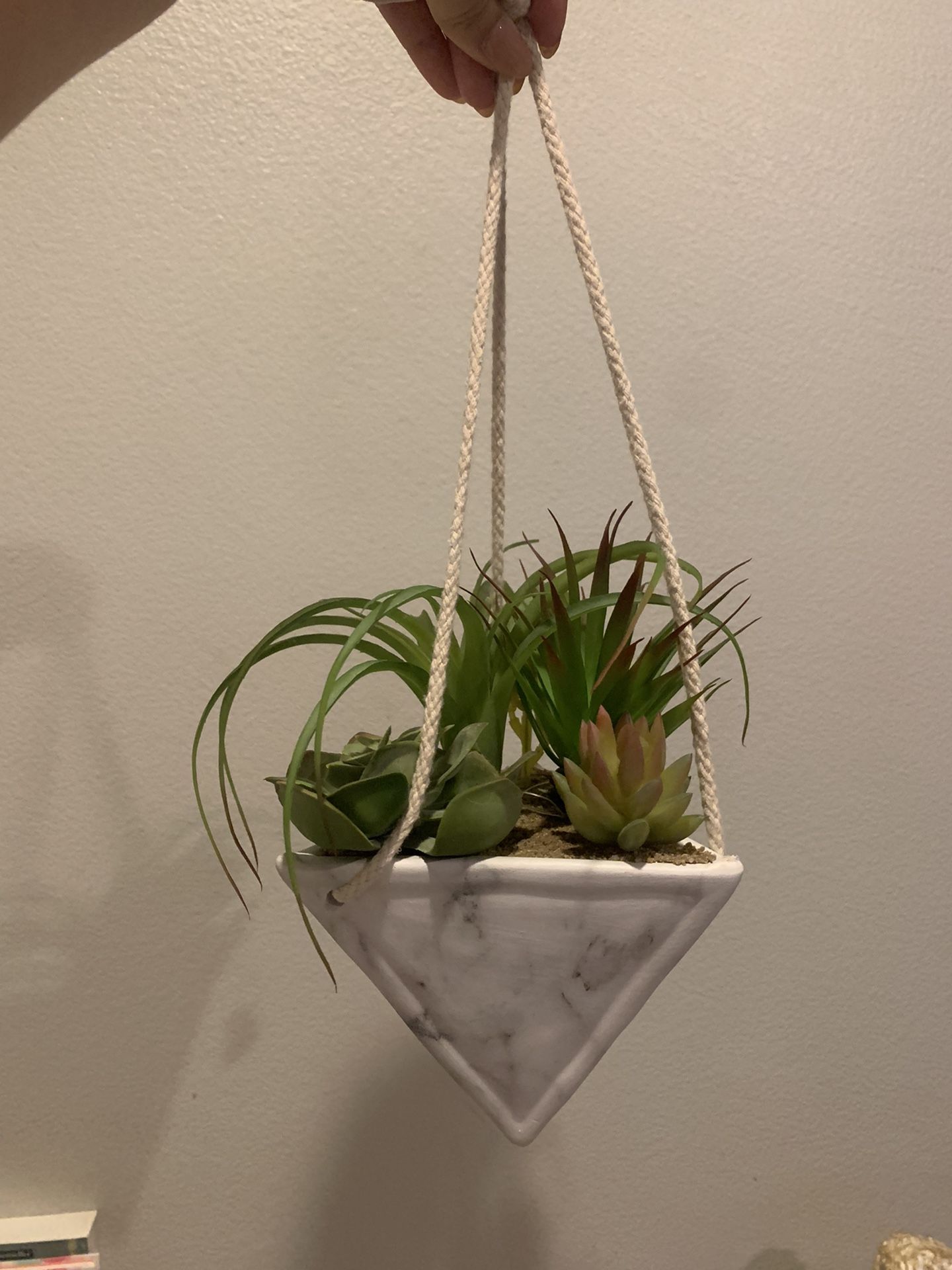 Fake Succulent Plant