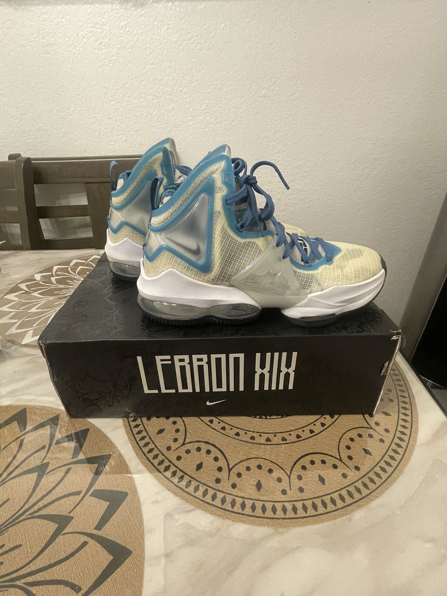 Nike Lebron Space Jam Shoes