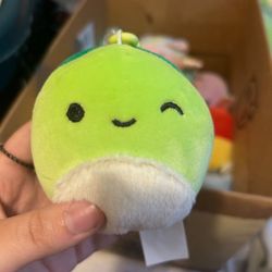 henry the turtle squishmallow keychain