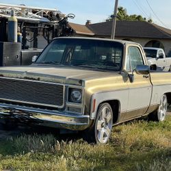 1979 Chevy Cheyenne 10