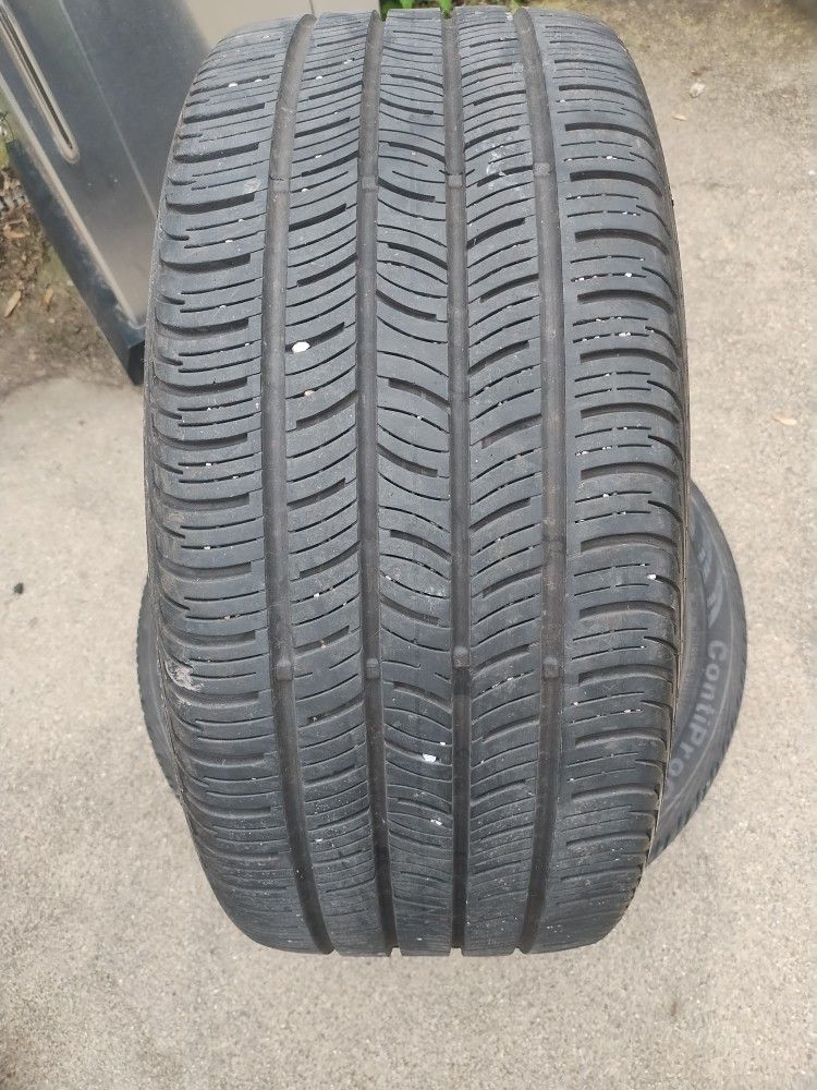 255 40 19
