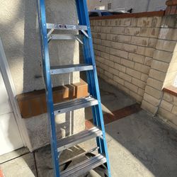 Werner Ladder 6ft 250 Ib 