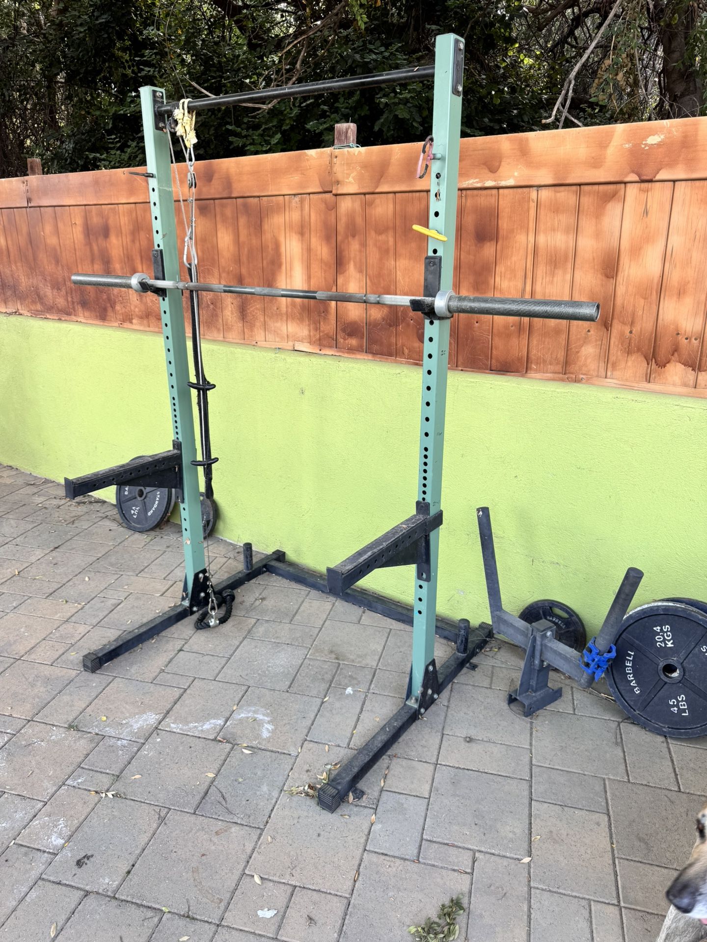 Gym Equipment