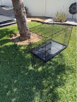 Large EveryYay Ultra Tough 2-Door Folding Dog Crate