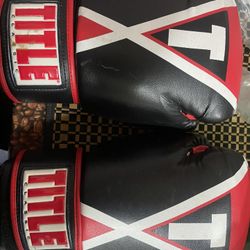 Title Boxing Gloves 