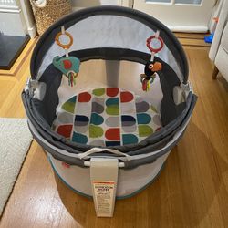 Fisher-Price Portable Bassinet and Play Space On-the-Go Baby Dome