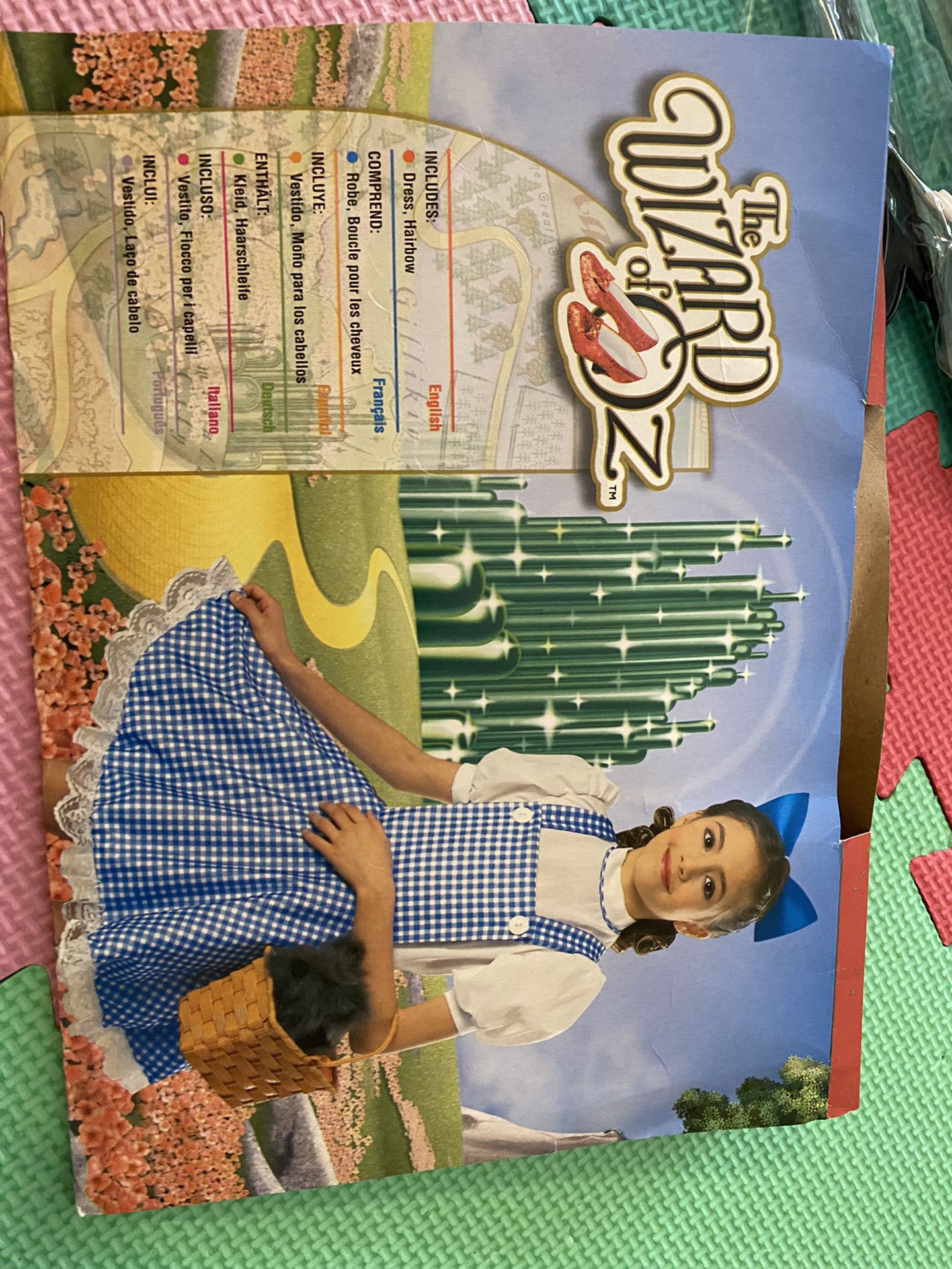 Wizard Of Oz Girl Costume 