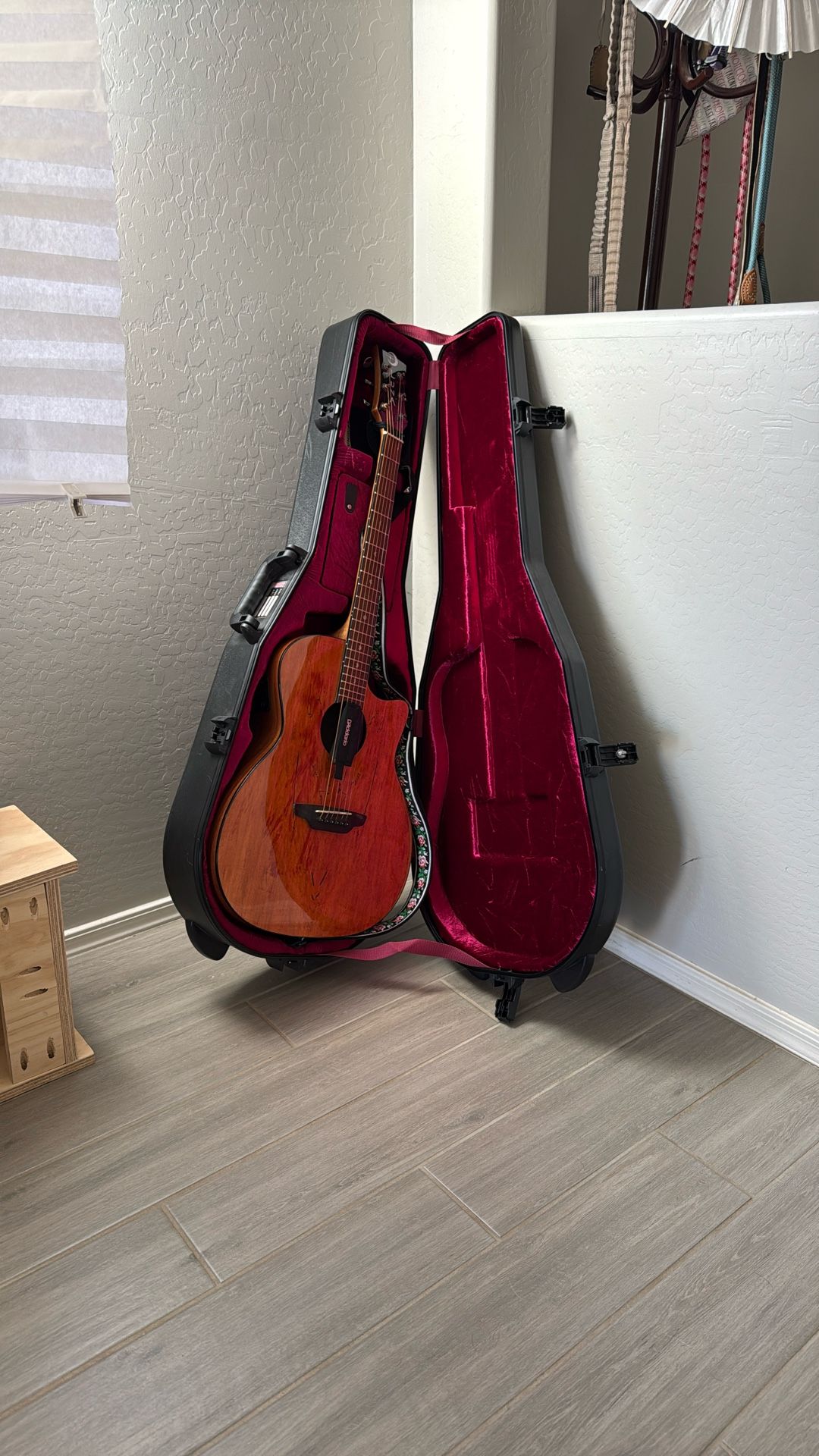 Luna Acoustic Guitar with Gator Travel Case