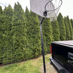  Basketball Hoop 
