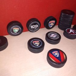 Florida Panthers Game used NHL Hockey Puck Collection, Luongo Practice Puck, St Pattys, 25th Year and more 
